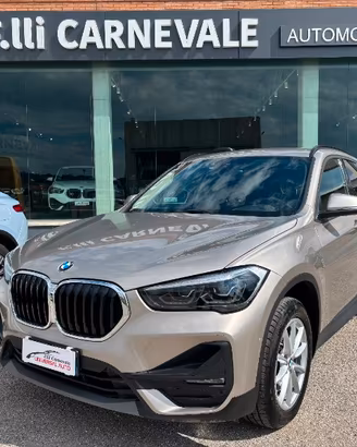 BMW X1 (F48) X1 xDrive20d Business A...