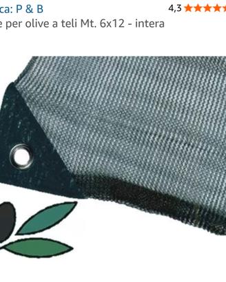 rete olive