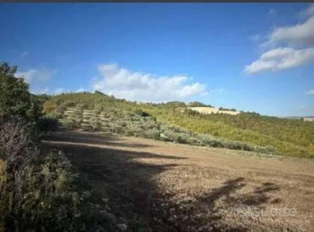 Immobile in asta di 30075 m² a Fragneto Monforte - Vista 2