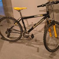 MTB Bottecchia ruote 26