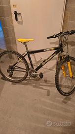 MTB Bottecchia ruote 26