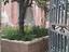 Immagine 13