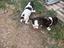 Immagine 4