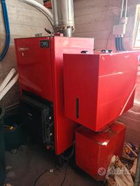 caldaia a biomassa Caringi 