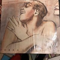 Vinile Francesco de Gregori