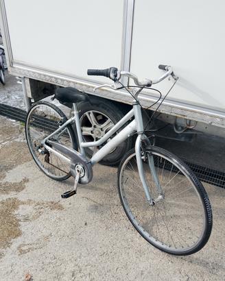 bicicletta da donna con cambio