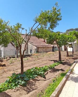 Appartamento con giardino