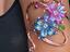 Immagine 2