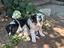 Immagine 2