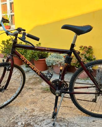 Mountain Bike Olympia 26” – Funzionante