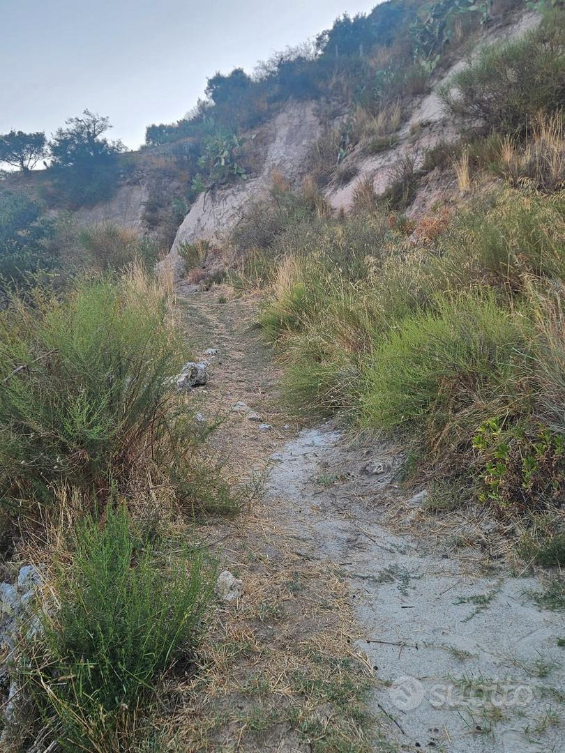 Terreno a Mammola (R.C.) contrada LATRA - Vista 4