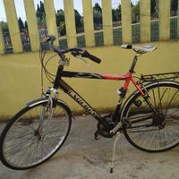 bicicletta da città 