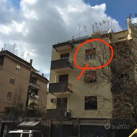 Zona Policlinico Gemelli, camera singola da giugno