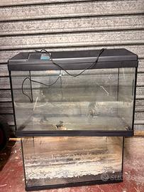 Acquari askoll 80 e 60 litri