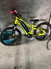 Bici elettrica per bambini hibike sduro raggio 24