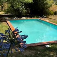 Giardino con piscina per eventi