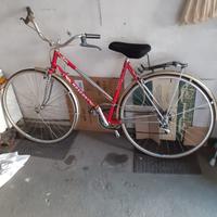 Bici mosconi