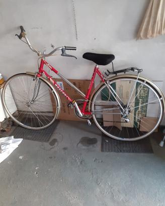 Bicicletta da donna mosconi