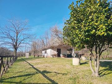 RUSTICO A VALMONTONE