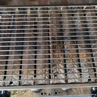 Barbecue  a gas acciaio inox