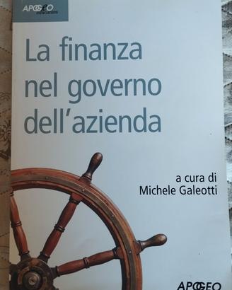 La finanza nel governo dell'azienda 