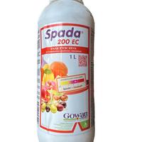 prodotto mosca per olivi trattamento 