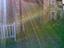 Immagine 29