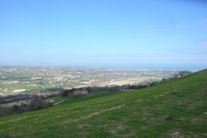 Terreno - Ripatransone