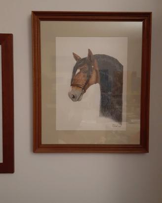 cavallo