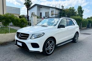 Mercedes-Benz GLE 250 d Premium Plus 4matic auto 2