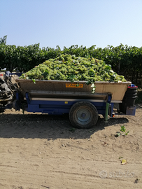 Carrello uva acciaio inox