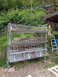 gabbiaa 3 piani  per conigli ( pulcini quaglie)