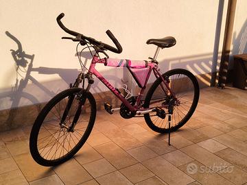 Mountain bike atala