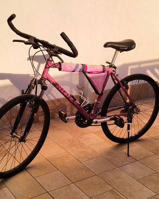 Mountain bike atala