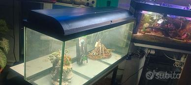 Acquario completo