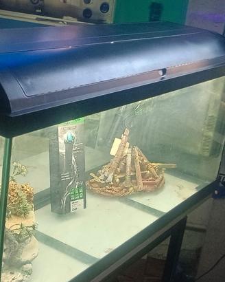 Acquario completo