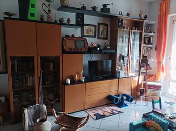 Mobile sala in vero legno