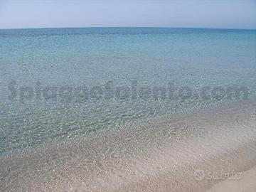 Ultime Disponibilita a Torremozza