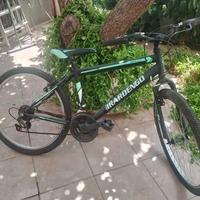 bicicletta 