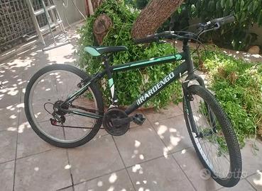 bicicletta 