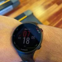 Garmine Forerunner 45s