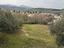 Immagine 8
