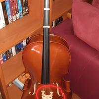 violoncello