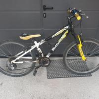 Bicicletta