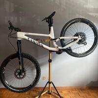 Canyon Torque di Fabio Wibmer 2021