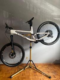 Canyon Torque di Fabio Wibmer 2021