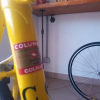 Colnago giallo ginestra 