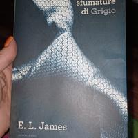 libro e.l james