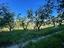 Immagine 17