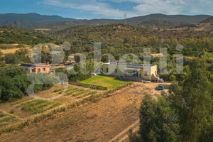Casa Indipendente su lotto di 5500 mq